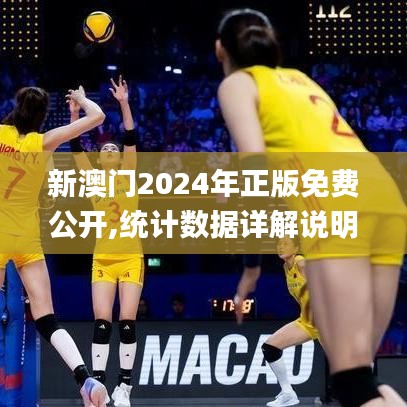 新澳门2024年正版免费公开,统计数据详解说明_愉悦版MCY5.4