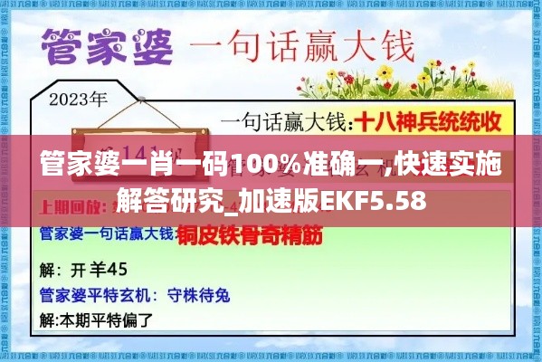 管家婆一肖一码100%准确一,快速实施解答研究_加速版EKF5.58