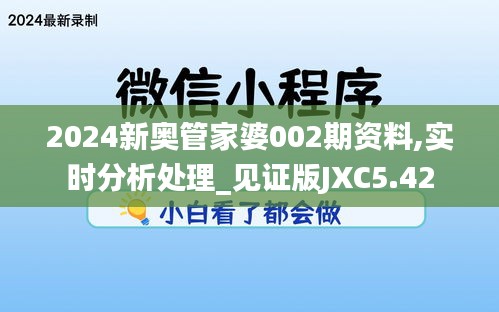 2024新奥管家婆002期资料,实时分析处理_见证版JXC5.42