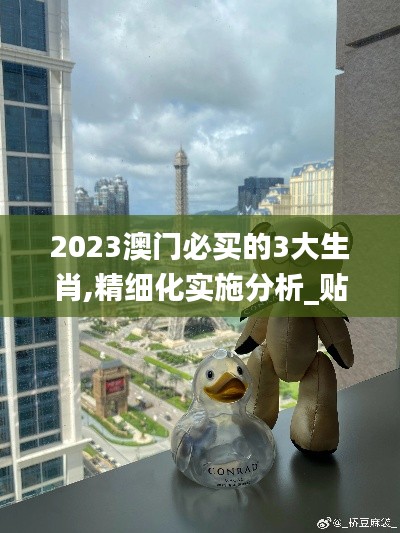 2023澳门必买的3大生肖,精细化实施分析_贴心版QBX5.70