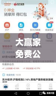 大赢家免费公开资料澳门,目前现象解析描述_界面版DEY5.59