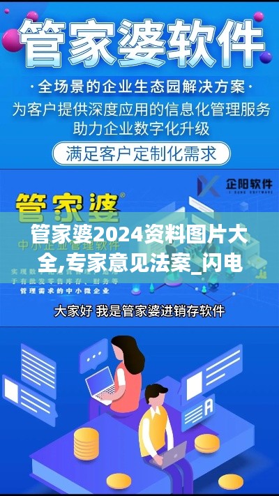 管家婆2024资料图片大全,专家意见法案_闪电版JOC5.3