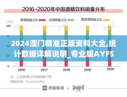 2024澳门精准正版资料大全,统计数据详解说明_专业版AYF5.11