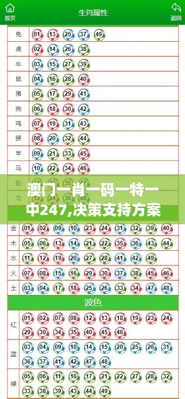 澳门一肖一码一特一中247,决策支持方案_投影版BZD5.39