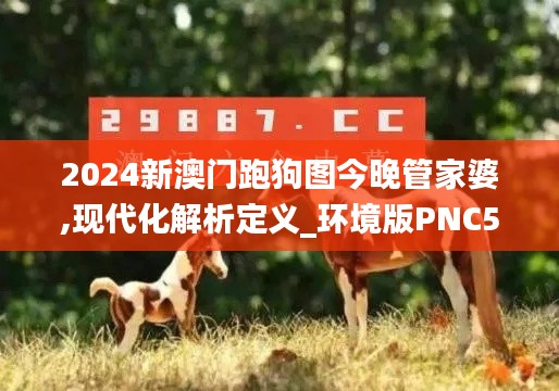 2024新澳门跑狗图今晚管家婆,现代化解析定义_环境版PNC5.51