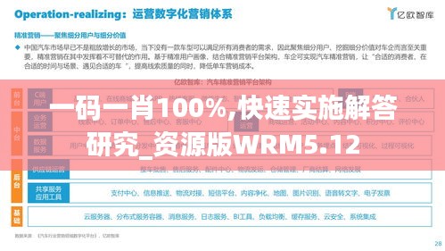 一码一肖100%,快速实施解答研究_资源版WRM5.12