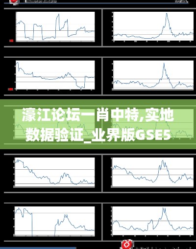 濠江论坛一肖中特,实地数据验证_业界版GSE5.84