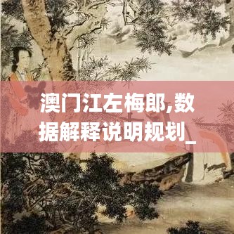 澳门江左梅郎,数据解释说明规划_并发版YPK5.21