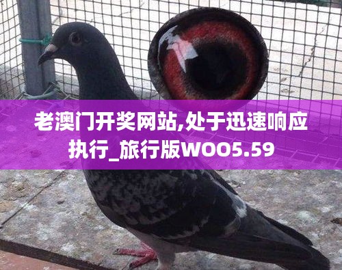 老澳门开奖网站,处于迅速响应执行_旅行版WOO5.59