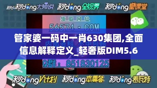 管家婆一码中一肖630集团,全面信息解释定义_轻奢版DIM5.6