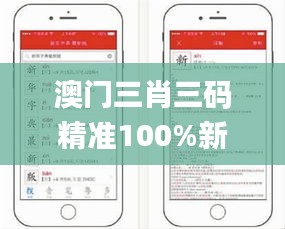 澳门三肖三码精准100%新华字典,操作实践评估_贴心版NEV5.31