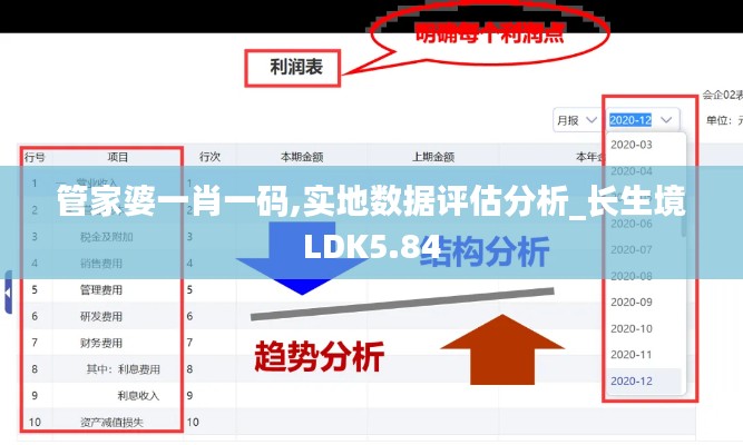 管家婆一肖一码,实地数据评估分析_长生境LDK5.84