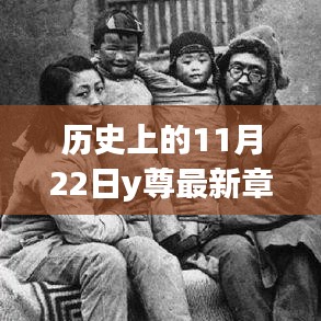 历史上的11月22日深度解析及最新章节y尊揭秘