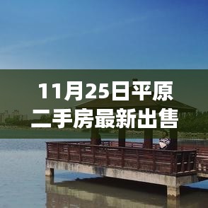 揭秘最新平原二手房市场，最新出售信息详解（11月25日）