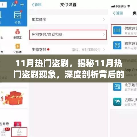 揭秘11月盗刷现象，深度剖析背后的犯罪隐患与隐患应对之道