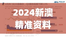 2024新澳精准资料大全333期,新式数据解释设想_高端体验版GIC11.60