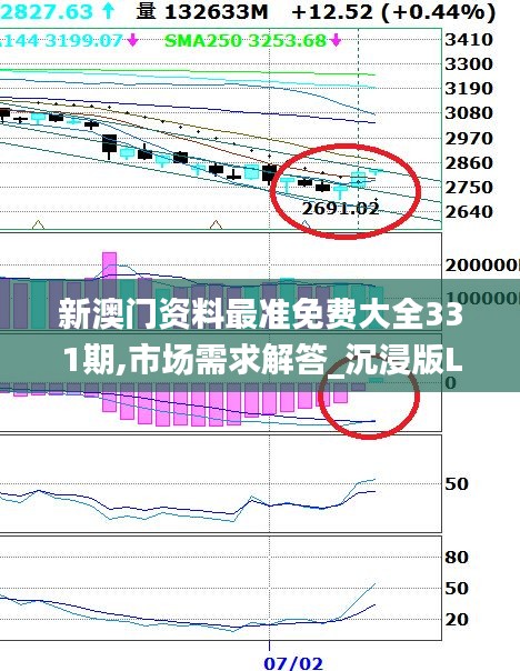 新澳门资料最准免费大全331期,市场需求解答_沉浸版LHZ11.7