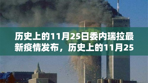 历史上的11月25日委内瑞拉疫情最新发布，深度评测与介绍