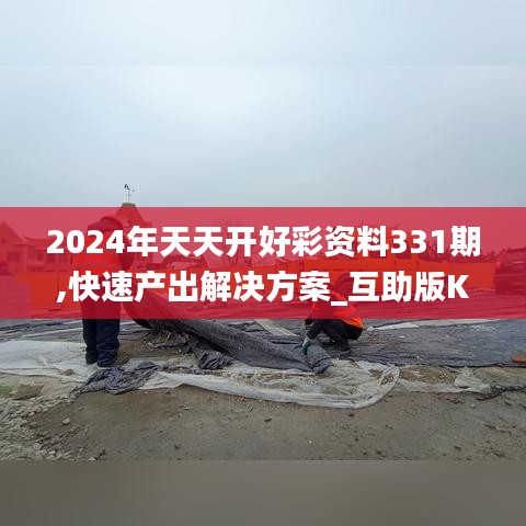 2024年天天开好彩资料331期,快速产出解决方案_互助版KXX11.35