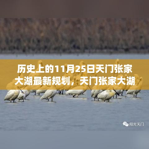 天门张家大湖新规划启航，变革的力量与自信的航道探索历程