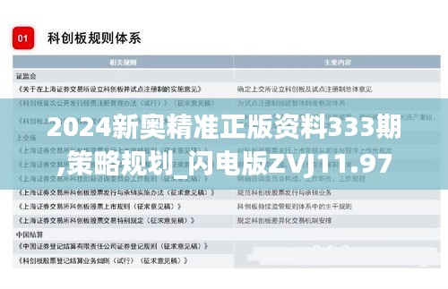 2024新奥精准正版资料333期,策略规划_闪电版ZVJ11.97