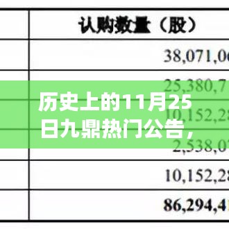 历史上的11月25日，九鼎热门公告背后的故事揭秘