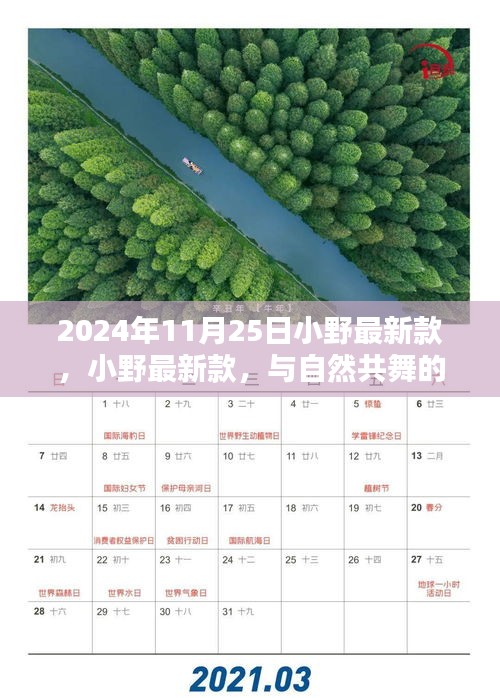 小野最新款，与自然共舞的日子启程，寻找内心的宁静与欢笑时光（2024年11月25日）