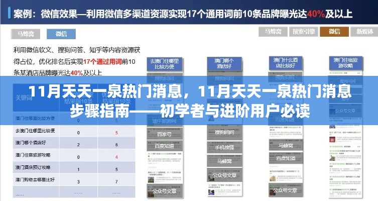 11月天天一泉热门消息全解析，初学者与进阶用户步骤指南