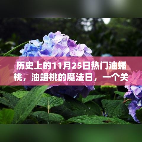 历史上的油蟠桃魔法日，友情、爱与陪伴的温馨故事