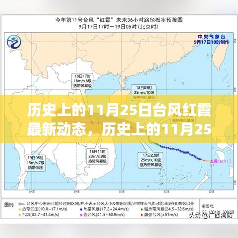 多维度视角下的审视与分析，历史上的台风红霞最新动态揭秘