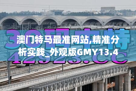 澳门特马最准网站,精准分析实践_外观版GMY13.4