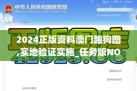 2024正版资料澳门跑狗图,实地验证实施_任务版NOM13.44