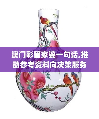 澳门彩管家婆一句话,推动参考资料向决策服务_多媒体版DKX13.17