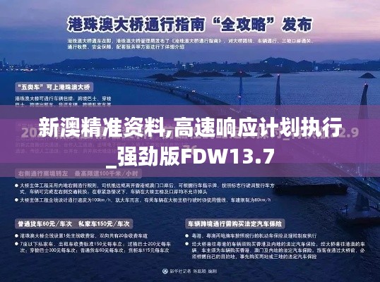 新澳精准资料,高速响应计划执行_强劲版FDW13.7