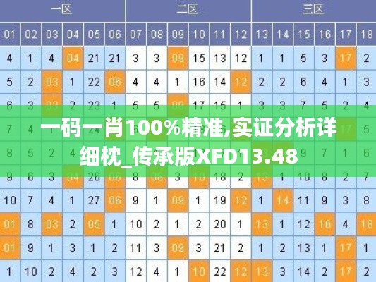 一码一肖100%精准,实证分析详细枕_传承版XFD13.48