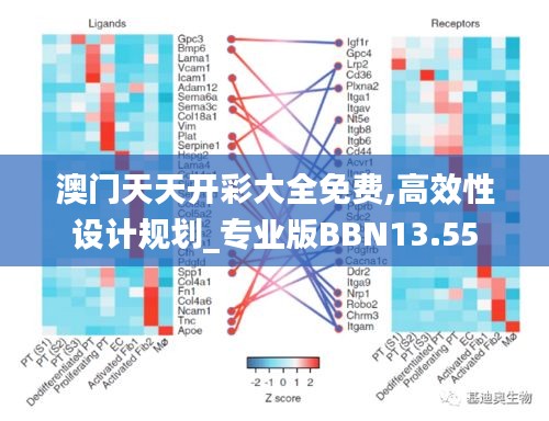 澳门天天开彩大全免费,高效性设计规划_专业版BBN13.55