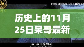 呆哥双飞记，温馨有趣的日常故事新篇章。