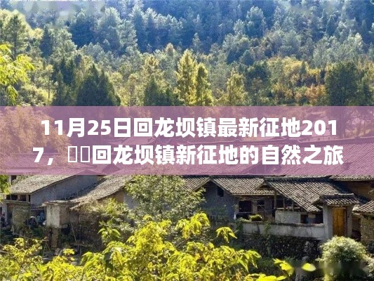 回龙坝镇征地新动态，探寻内心平静的征途启程于自然之旅