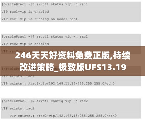 246天天好资料免费正版,持续改进策略_极致版UFS13.19