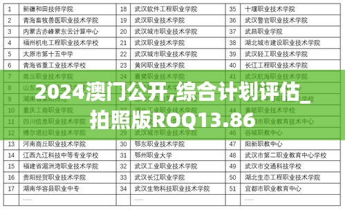 2024澳门公开,综合计划评估_拍照版ROQ13.86