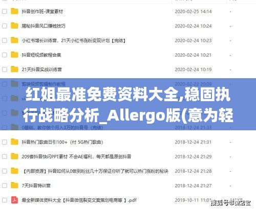 红姐最准免费资料大全,稳固执行战略分析_Allergo版(意为轻快)HRR13.50