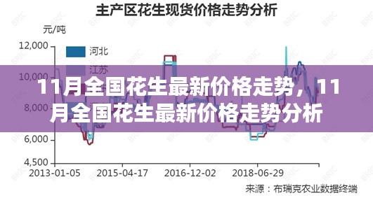 11月全国花生最新价格走势及分析