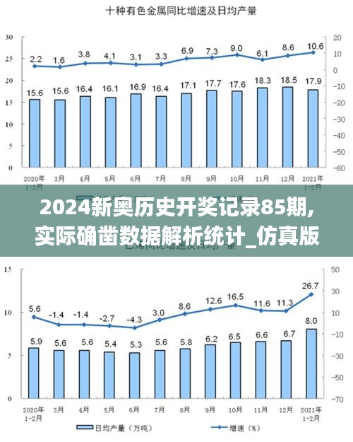 2024新奥历史开奖记录85期,实际确凿数据解析统计_仿真版XVM13.85