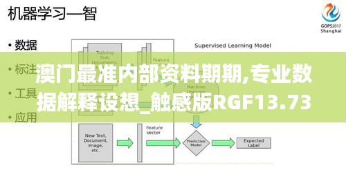 澳门最准内部资料期期,专业数据解释设想_触感版RGF13.73