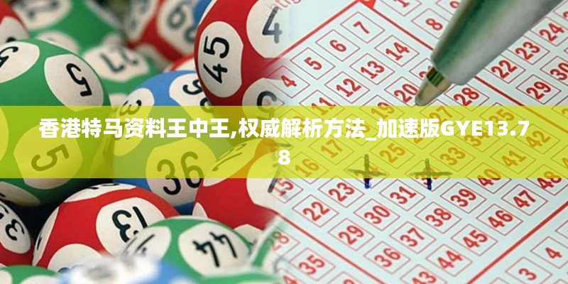 香港特马资料王中王,权威解析方法_加速版GYE13.78