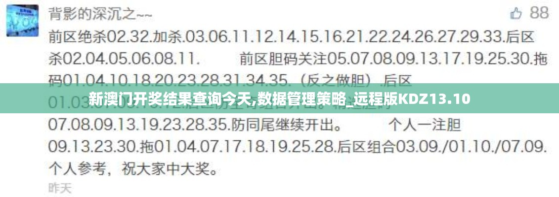 新澳门开奖结果查询今天,数据管理策略_远程版KDZ13.10