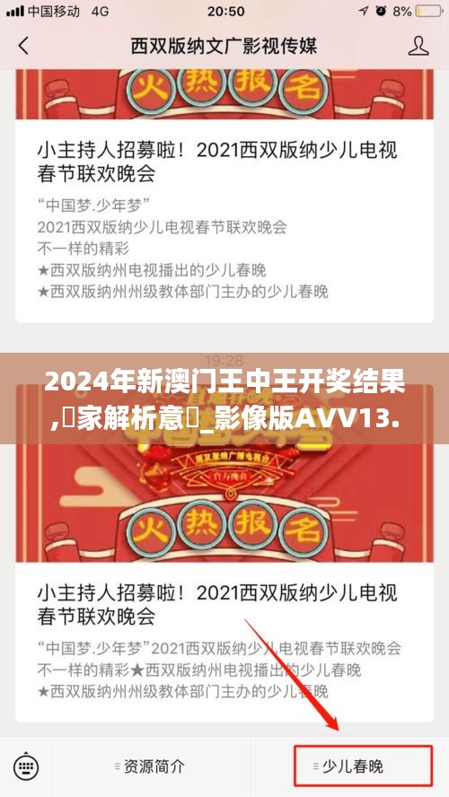 2024年新澳门王中王开奖结果,專家解析意見_影像版AVV13.78