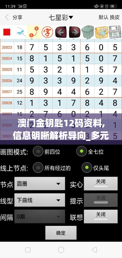 澳门金钥匙12码资料,信息明晰解析导向_多元文化版HPN13.63