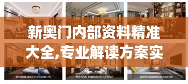 新奥门内部资料精准大全,专业解读方案实施_私人版CLK13.29