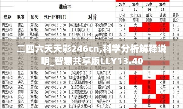 二四六天天彩246cn,科学分析解释说明_智慧共享版LLY13.40